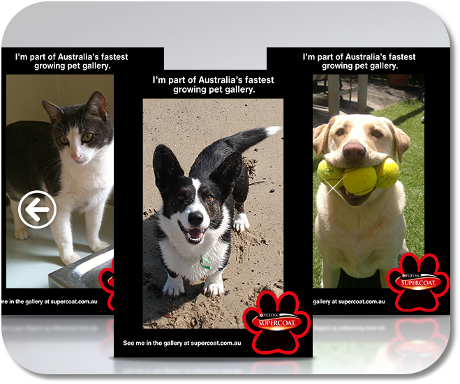 Upload Your Pets Picture & Score A Free Photo Frame From