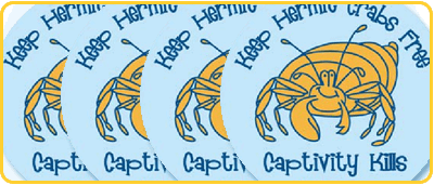 Hermit Crab Stickers PETAKids