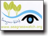 Seagrass-Watch Sticker