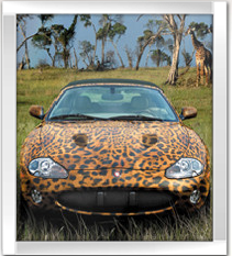 Free Vehicle Wrap, etc