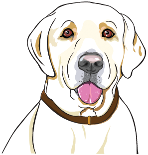 Rspca Dogs Die In Hot Cars Bumper Sticker – Nsw Only