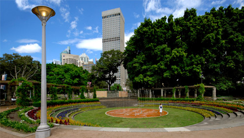 250 Free Plants Giveaway – Sydney Instore